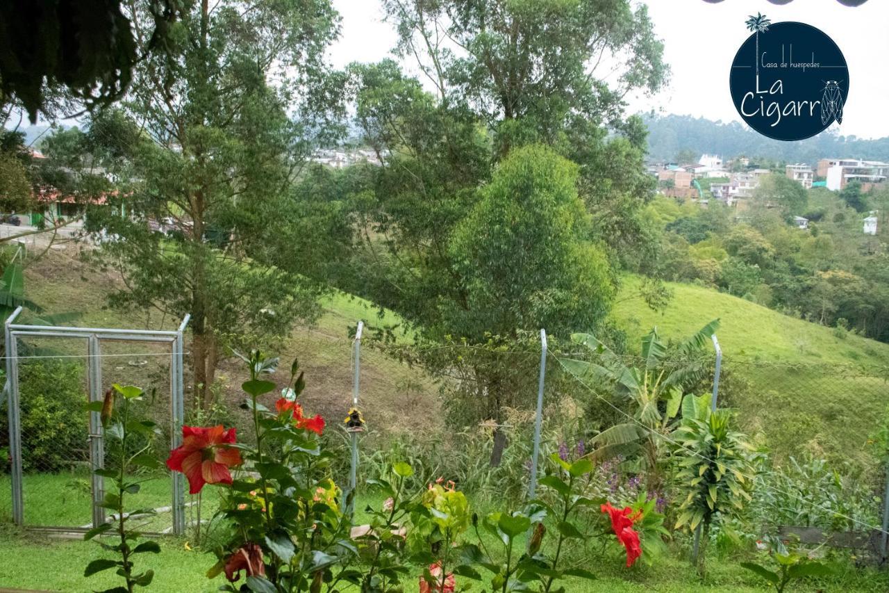 ホテル La Cigarra Casa De Huespedes サレント エクステリア 写真